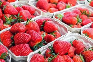 Precio de la frutilla a G. 80 mil por baja cosecha, aseguran productores - Unicanal