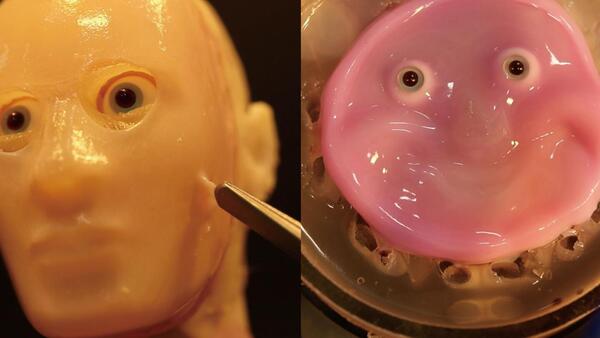Investigadores japoneses desarrollan robot facial con piel "viva" hecha de células humanas