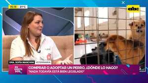Comprar o adoptar un perro: ¿Dónde lo hago?  - Ensiestados - ABC Color