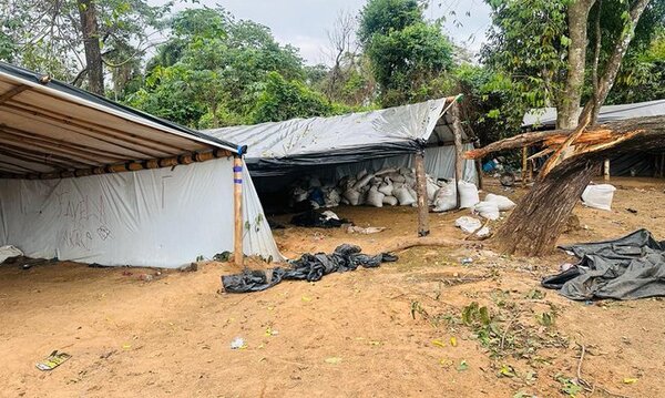 Destruyen casi 3.500 Kilos de marihuana durante procedimiento en “Favela do Makako”