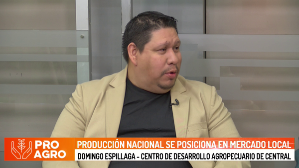 Producción nacional se posiciona en mercado local - Megacadena - Diario Digital