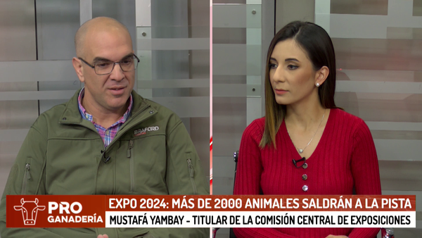 Más de 2000 animales saldrán a la pista en la Expo 2024 - Megacadena - Diario Digital