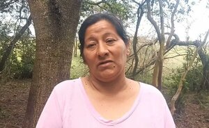 Tía de Loan habría declarado que el niño fue atropellado