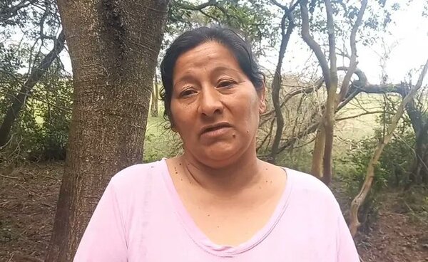 Tía de Loan habría declarado que el niño fue atropellado