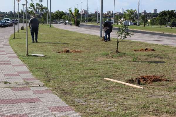 Alberdeños plantan árboles en la Costanera de Asunción: ¿cuál es el motivo? - Nacionales - ABC Color
