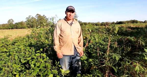 La Nación / Pequeños productores pueden generar autoconsumo y renta en agricultura sustentable