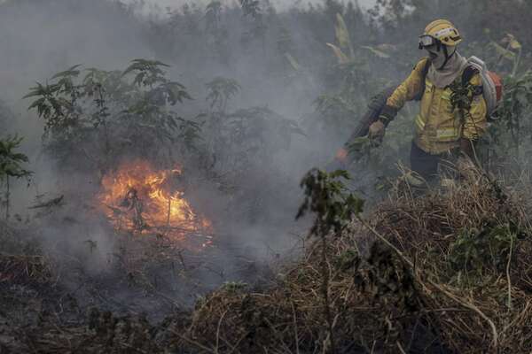 Caída de la temperatura y llovizna ayudan a combatir el fuego en el Pantanal - Mundo - ABC Color