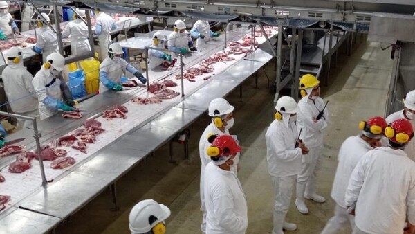 Ante “extrema concentración”, piden exportar ganado en pie