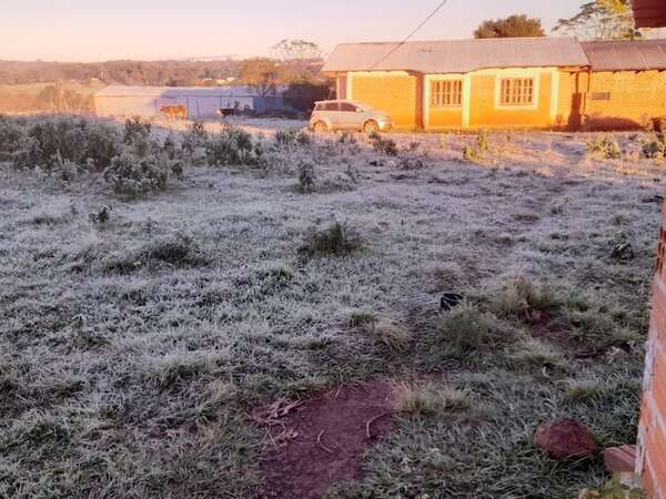 Llegaron las primeras escarchas y heladas del año en Itapúa - Clima - ABC Color