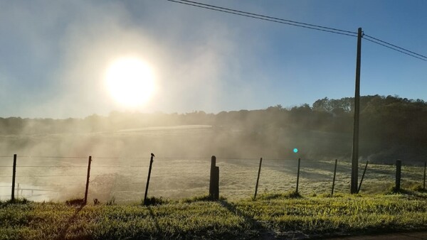 Primeras heladas del invierno se hacen sentir con fuerza en Itapúa y Ñeembucú