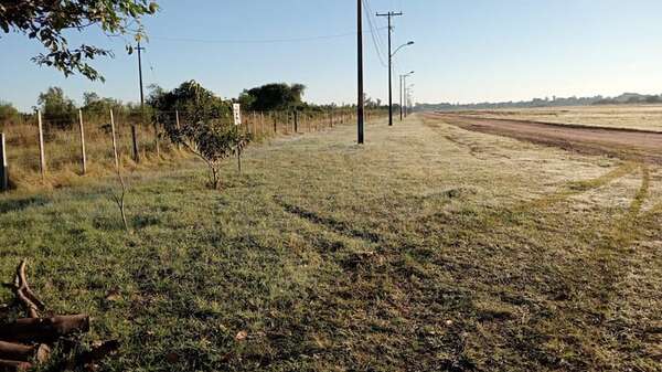 Primera helada de la temporada en el sur de Ñeembucú afecta a pequeños productores - Nacionales - ABC Color