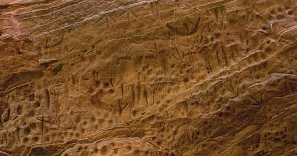 Diario HOY | El Paraguay prehistórico tendría un rol más importante del que se cree