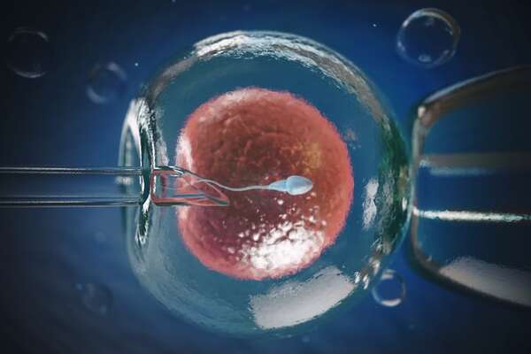 Se puede cuidar la fertilidad y prevenir la infertilidad - Nacionales - ABC Color
