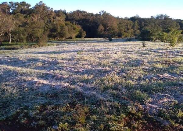 Heladas cubren de blanco el suelo de Itapúa y Ñeembucú