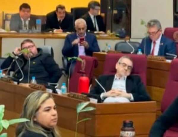 Yamil Esgaib, entre violento y dormilón - Política - ABC Color