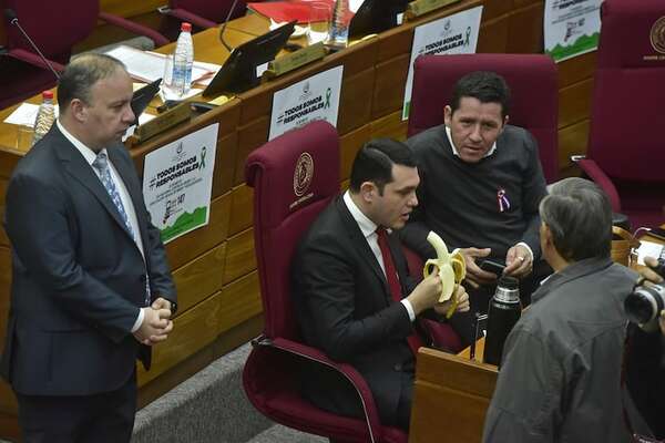 El Senado dejó de ser el último bastión contra el copamiento - Política - ABC Color