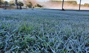 Julio se perfila como el mes más frío del año y se prevén heladas en vacaciones de invierno – Prensa 5