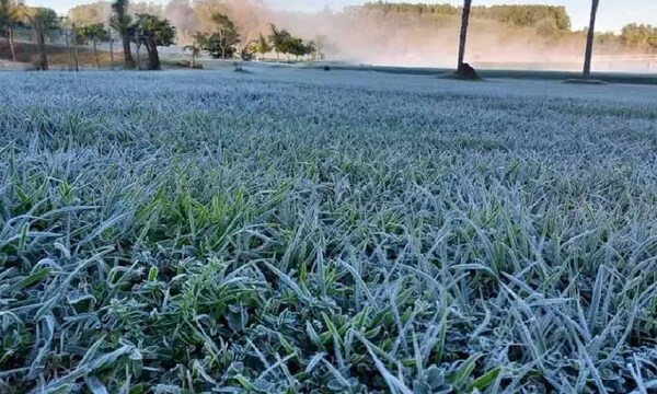 Julio se perfila como el mes más frío del año y se prevén heladas en vacaciones de invierno – Prensa 5