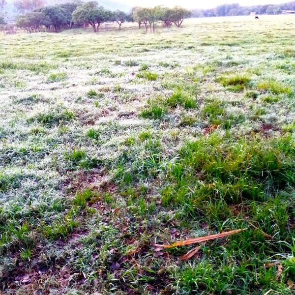 Primeras escarchas se registran en distritos de Paraguarí - Nacionales - ABC Color
