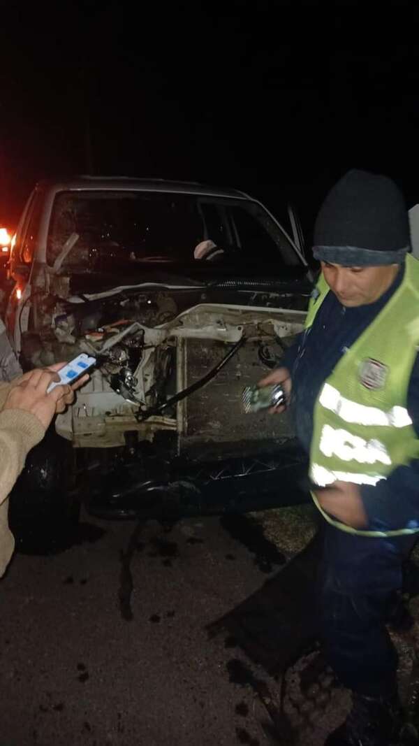 Aumenta el peligro en ruta PY 19 por animales sueltos y baches - Nacionales - ABC Color