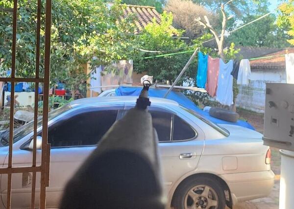 Defensa Animal interviene ante denuncia hacia un hombre que presuntamente disparaba a gatos - Mascotas - ABC Color