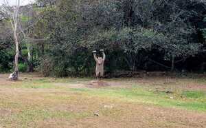 Parque Histórico Mitologico Chirigüelo, un atractivo turístico en el distrito de Cerro Corá  - Radio Imperio 106.7 FM