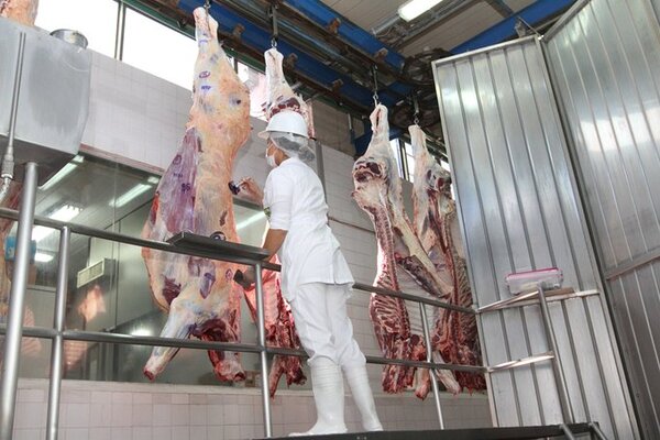 Al cierre de junio, Chile sobresale como principal destino de la carne bovina paraguaya absorbiendo el 40%