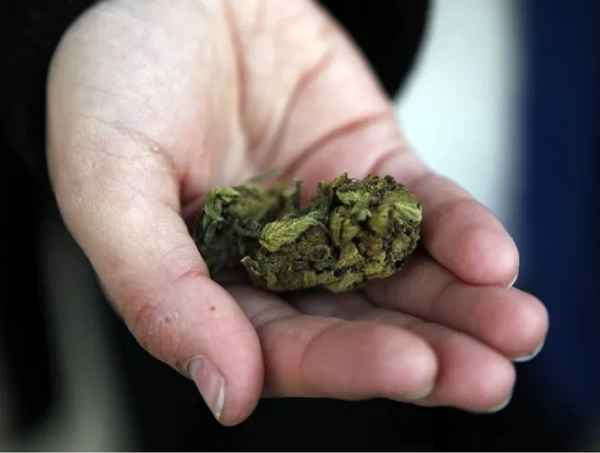 Brasil despenalizó la posesión de marihuana para uso personal · Radio Monumental 1080 AM