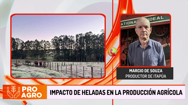 Impacto de heladas en la producción agrícola - Megacadena - Diario Digital