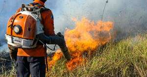 La Nación / Incendios en Amazonía baten récord negativo