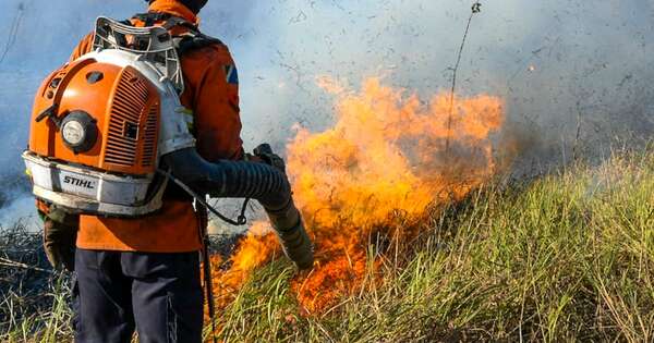 La Nación / Incendios en Amazonía baten récord negativo