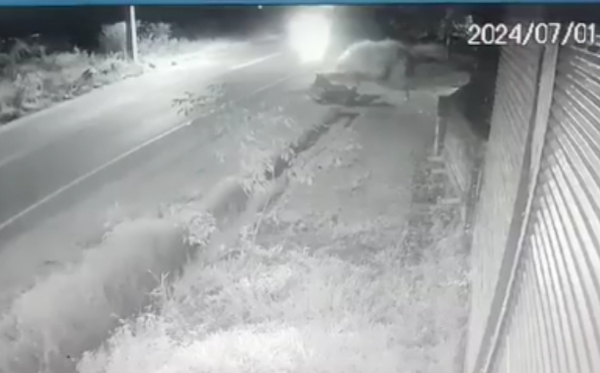 Parejita de motocas andaban toqueteándose y se accidentaron