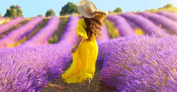 ‘Lavanda lovers”: descubrí cuáles son sus beneficios - Estilo de vida - ABC Color