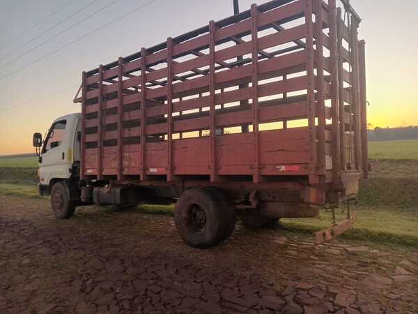 Asaltaron a dos hombres cuando iban camino a comprar animales en Pirapó 13
