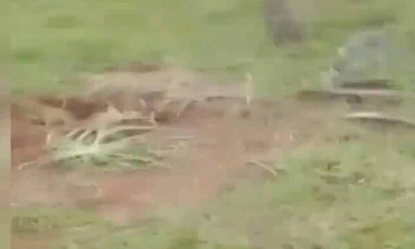 Misiones: Hallan enterrado el cuerpo de un hombre desaparecido tras cumpleaños – Prensa 5