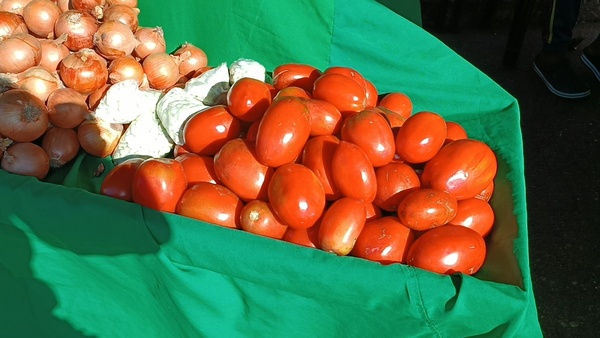 Nueva Subida del Precio del Tomate: Llega a 12,000 Guaraníes por Kilo