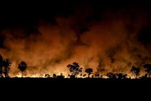 Oeneg茅s de Brasil, Bolivia y Paraguay piden a la UE salvar el Pantanal de los incendios - Revista PLUS