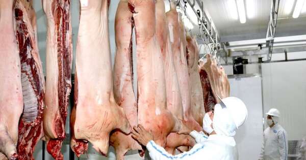 La Nación / Ingresos por envíos del sector porcino se duplicaron en el primer semestre