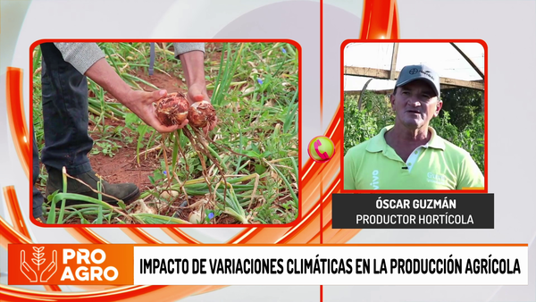 Impacto de variaciones climáticas en la producción agrícola - Megacadena - Diario Digital