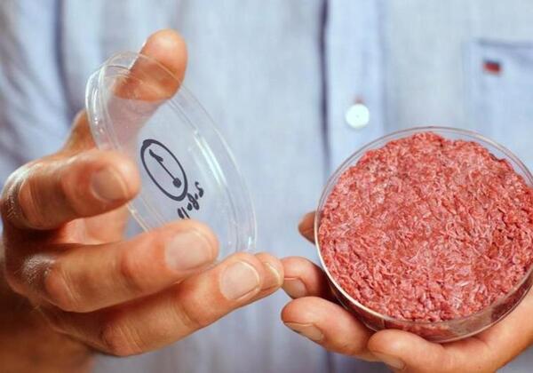 Diputados: Prohibición para producir carne cultivada en laboratorios tiene dictamen positivo