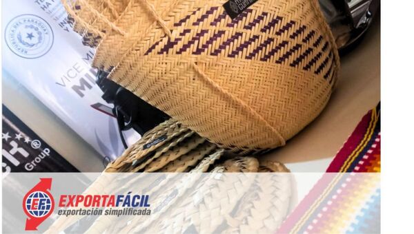 «Exporta Fácil»: Se pueden enviar paquetes de hasta 20 kilos a través de Dinacopa
