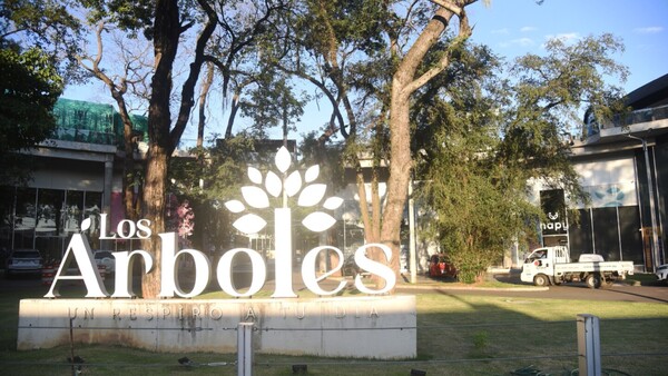 Paseo Los Árboles adeuda por alquiler a IPS G. 92 millones