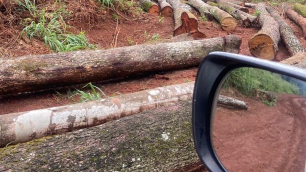 Última dueña paraguaya de tierras soporta ataques y no recibe justicia