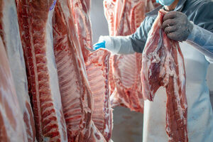 Exportación de carne bovina generó ingresos por USD 766 millones al cierre del semestre - MarketData