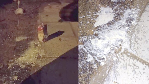 Alumnos intoxicados tras ser obligados a tomar leche