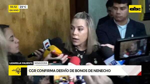 Desvío de bonos: Lizarella “confía totalmente” en la inocencia de Nenecho - ABC Noticias - ABC Color