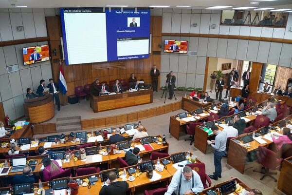 Sala Constitucional requiere postura del Senado sobre destitución de Kattya González
