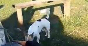 Diario HOY | Video: vecinos reducen y maniatan a presunto ladrón