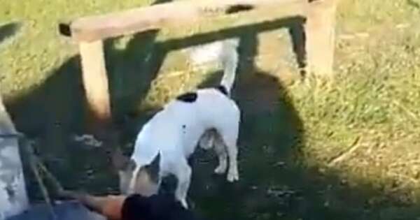 Diario HOY | Video: vecinos reducen y maniatan a presunto ladrón