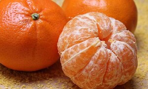 La mandarina, una fruta de estación muy beneficiosa contra las enfermedades gripales – Prensa 5
